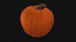 Pumpkin Scan
