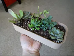 Simple and Large