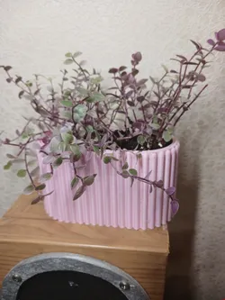 Tall Planter with Vertical Lines