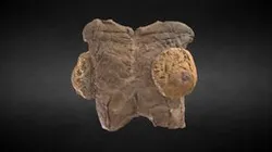 Tórax Mujer / Women thorax
