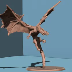 Young Black Dragon