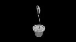 CT4012 - Venus Fly Trap - Venus Fly Trap