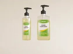 Hand Sanitizers Free 3D model
