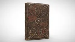 Latin MS 48