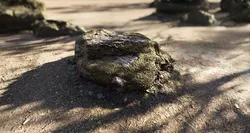Mossy Forest Rock A Single Free 3D model