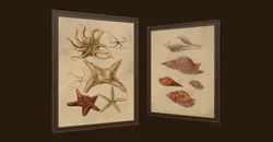 Pictures - PBR Game Ready sea shells in frame Free low-poly 3D model