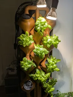 Vertical Hydroponics System (VHS)