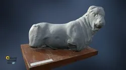 Bull