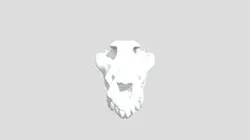 Dog Skull