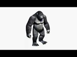 Gorilla Free 3D model