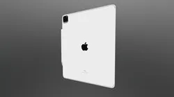 iPad Pro 4th generation (2020) + Apple Pencil