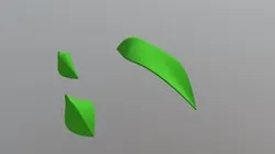 Leaf Canopy