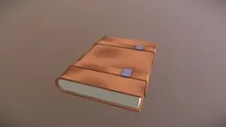 Leather book