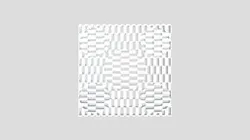 Optical Illusion