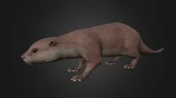 Otter