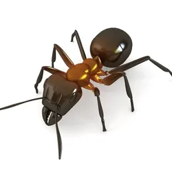 red ant