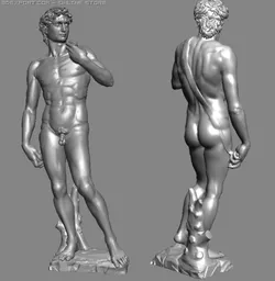 david