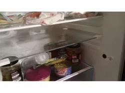 Electrolux shelf shelves for refrigerators