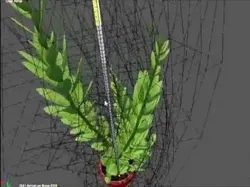 Indoor plant rigged Free low-poly 3D model