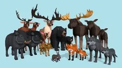 Low Poly Wild Animals pack