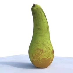 Pear Free PBR Sample - Photogrammetry Scan Free 3D model