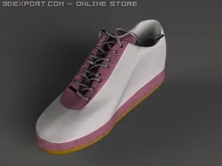 shoe