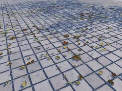 Leaves from Pavements vol01 8K Seamless PBR Materials Texture