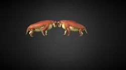 Moschops capensis