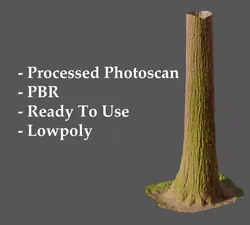 Redwood Pine Conifer Trunk 3D PhotoScan Realistic  Free low-poly 3D model