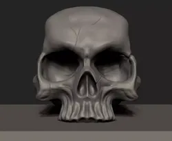 skull  FREE Free 3D model