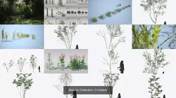 Botanic Collection trees and plants 3D Model Pack