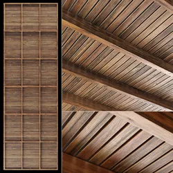 Branches rectangular ceiling N1 3D model