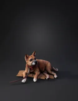 brown dog with red collar lying on cardboard pieces