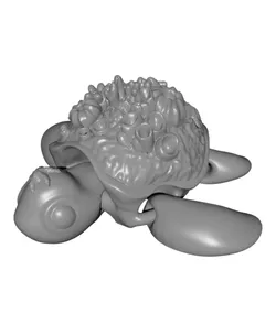 Coral Turtle