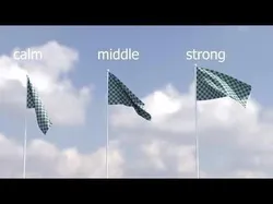 Realistic animated flag calm wind Low-poly 3D model