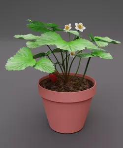 Strawberry Plant Low-poly 3D model
