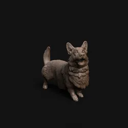 Corgi dog - pre supported