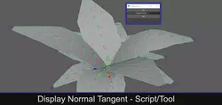 Display Normal Tangent - Script Tool for Maya Free 3D model