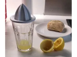 Easy Peasy Lemon Squeezer