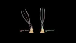 Forceps Moodle