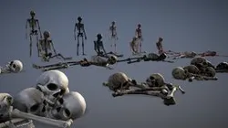 Human Bones Set