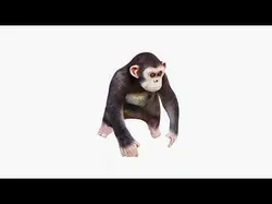 Monkey Free 3D model