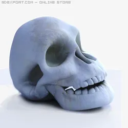 skull