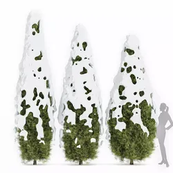 Rocky Mountain Juniper Winter Free 3D model