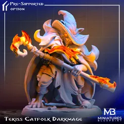 Tekiss Catfolk DarkMage - Fire Cult