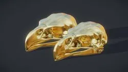 Eagle Skull