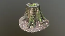 Game Ready Tree Stump 3d scan Unreal Unity