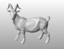 Goat scan