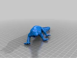 Komodo Dragon