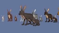 Low Poly Hares pack
